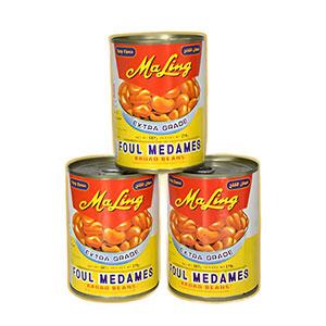 Canned broad beans